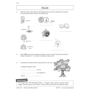 Year 3 Science Workout - Plant Life (Ages 7-8) Look Inside Image 6