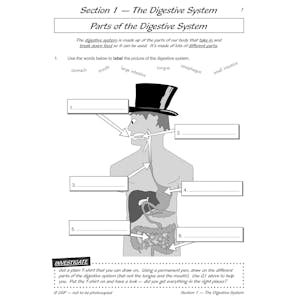 Year 4 Science Workbook Pack (Ages 8-9) Look Inside Image 20