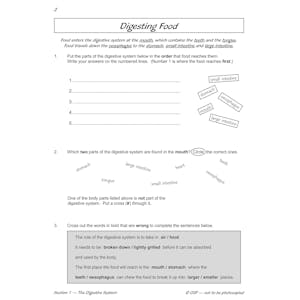 Year 4 Science Workbook Pack (Ages 8-9) Look Inside Image 21