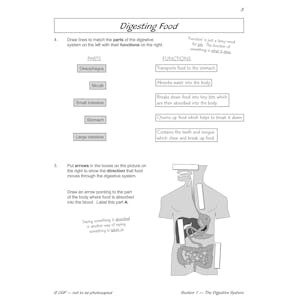Year 4 Science Workbook Pack (Ages 8-9) Look Inside Image 22