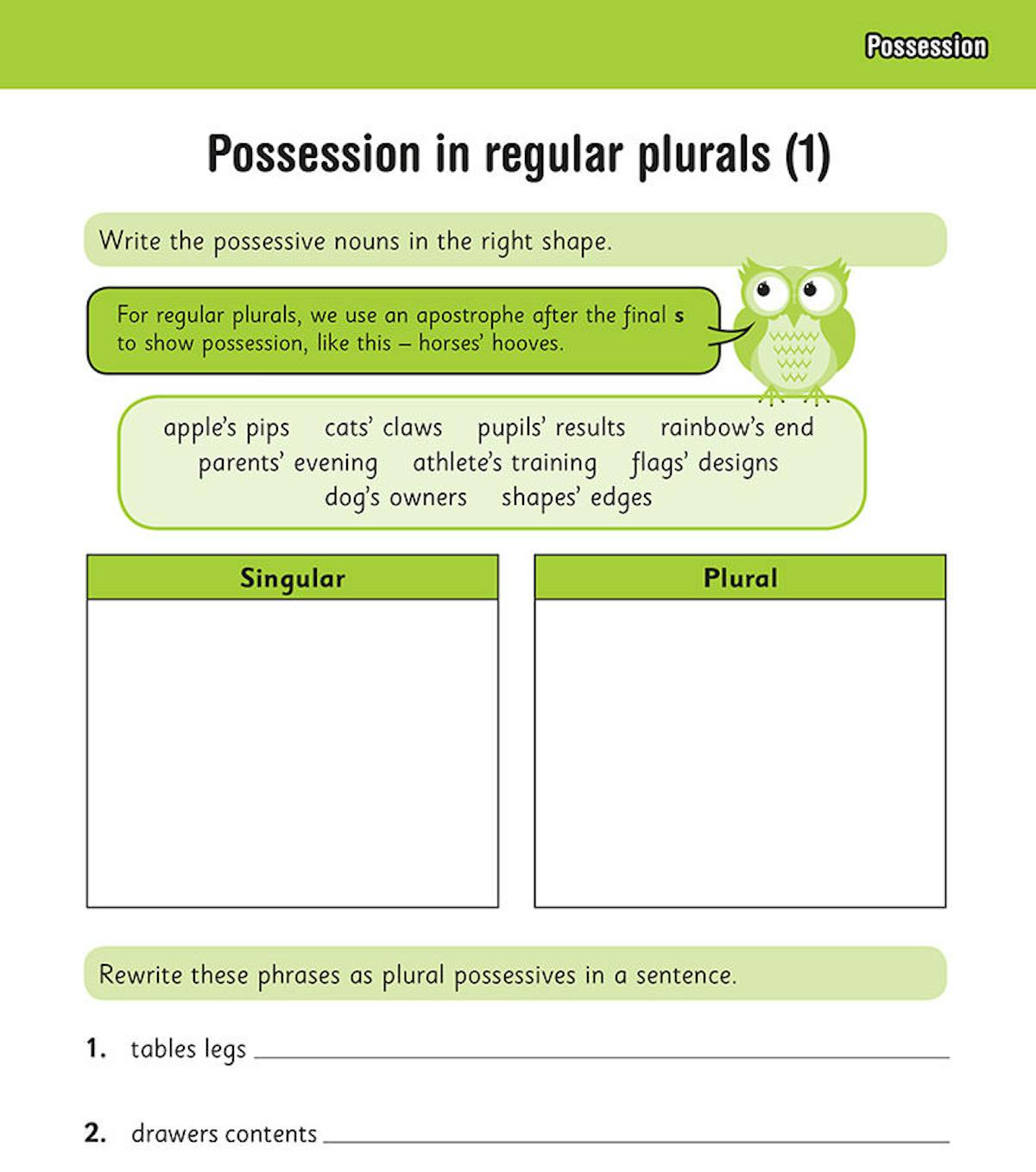 Year 4 Spelling & Vocabulary Workbook cover showing colourful owl mascot and practice exercises