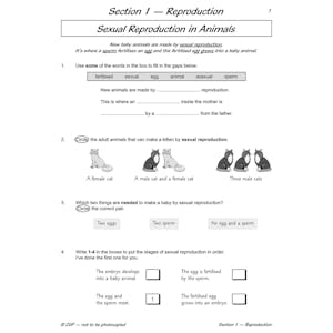 Year 5 Science Study & Workbook Pack (Ages 9-10) Look Inside Image 10