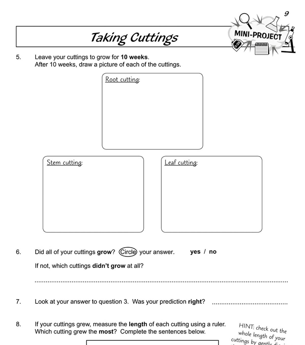 Step-by-step instructions for a plant cuttings mini-project