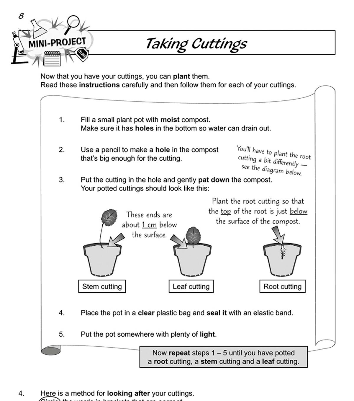 Results page for the plant cuttings experiment with measurement and observation prompts