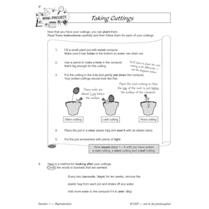Year 5 Science Workout - Life Cycles & Reproduction (Ages 9-10) Look Inside Image 2