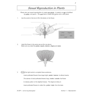 Year 5 Science Workout - Life Cycles & Reproduction (Ages 9-10) Look Inside Image 6