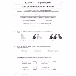 Year 5 Science Workout - Life Cycles & Reproduction (Ages 9-10) Look Inside Image 4