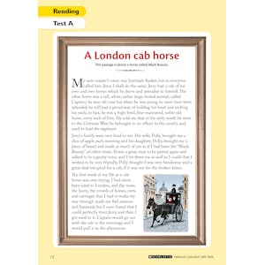 Year 6 Reading SATs Practice Papers (Ages 10-11) Look Inside Image 1