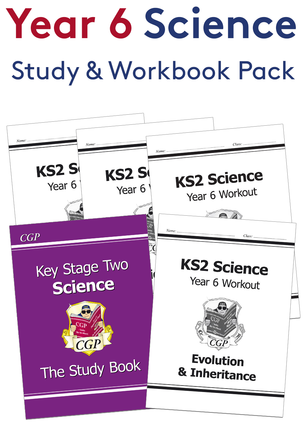 Year 6 Science Study & Workbook Pack (Ages 10-11)
