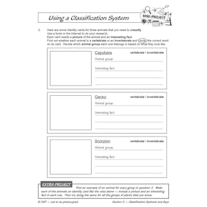 Year 6 Science Workbook Pack (Ages 10-11) Look Inside Image 23