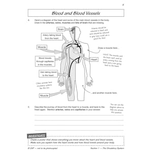 Year 6 Science Workout - Circulation & Keeping Healthy (Ages 10-11) Look Inside Image 6