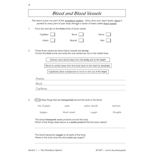 Year 6 Science Workout - Circulation & Keeping Healthy (Ages 10-11) Look Inside Image 5