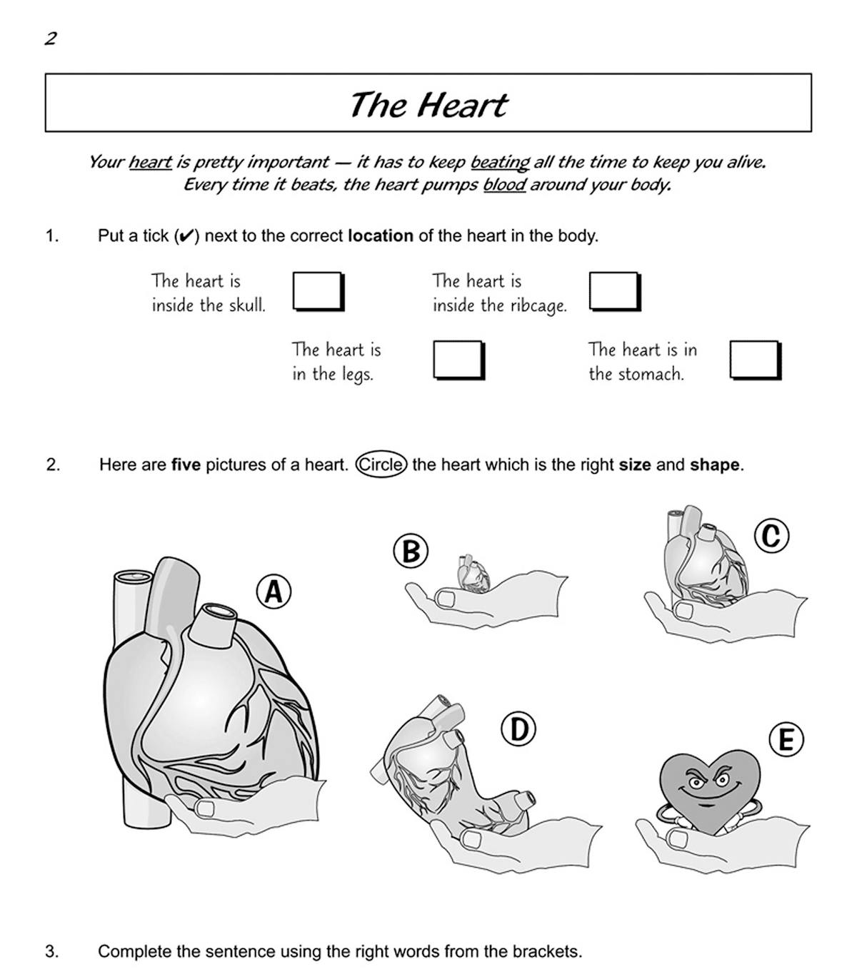 Sample pages showing questions about the heart's location, size and structure