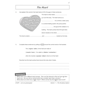 Year 6 Science Workout - Circulation & Keeping Healthy (Ages 10-11) Look Inside Image 4