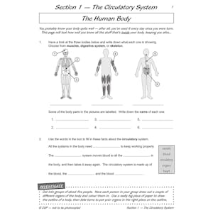 Year 6 Science Workout - Circulation & Keeping Healthy (Ages 10-11) Look Inside Image 2