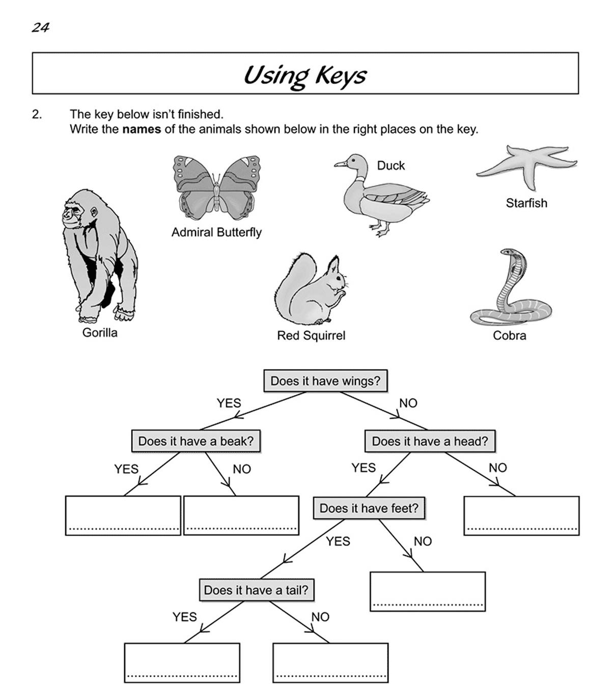 Classification keys activity page showing animals and a decision tree diagram