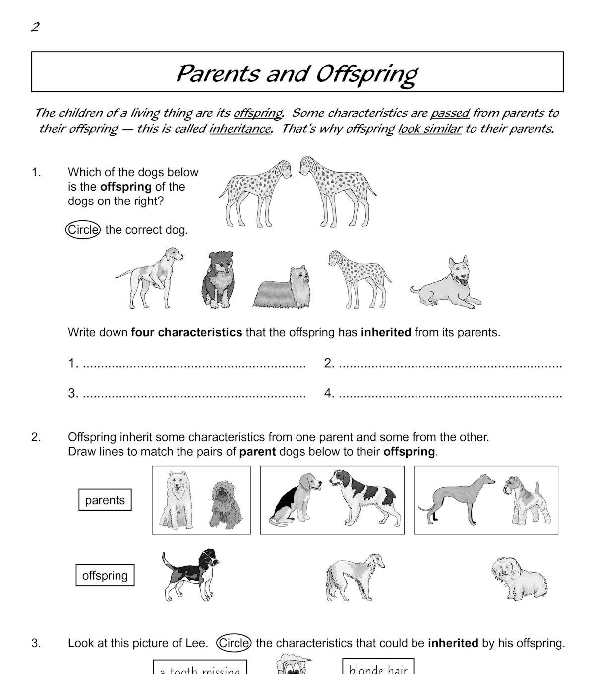 Sample page showing parents and offspring questions with dog illustrations
