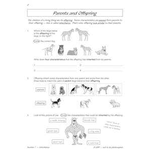 Year 6 Science Workout - Evolution & Inheritance (Ages 10-11) Look Inside Image 3