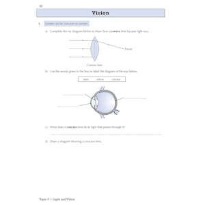 Year 8 Science Targeted Workbook (Ages 12-13) Look Inside Image 6