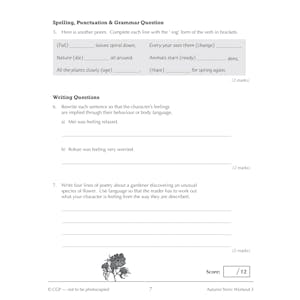 Year 9 English Workbook Pack (Ages 13-14) Look Inside Image 11