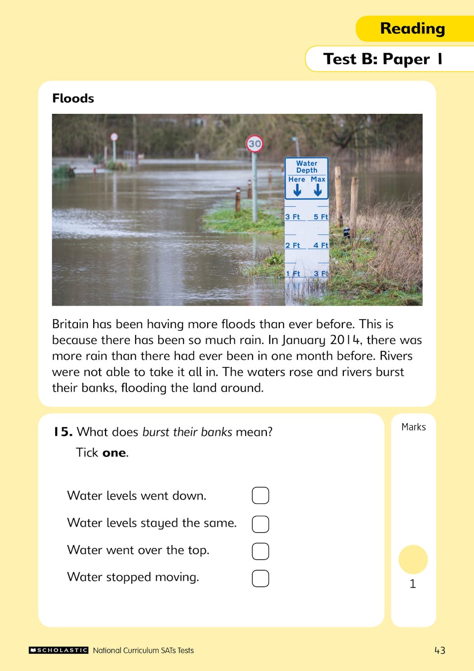 Sample of KS1 SATs Practice Papers Pack Y2 Ages 6-7 Scholastic with Answers NEW ()