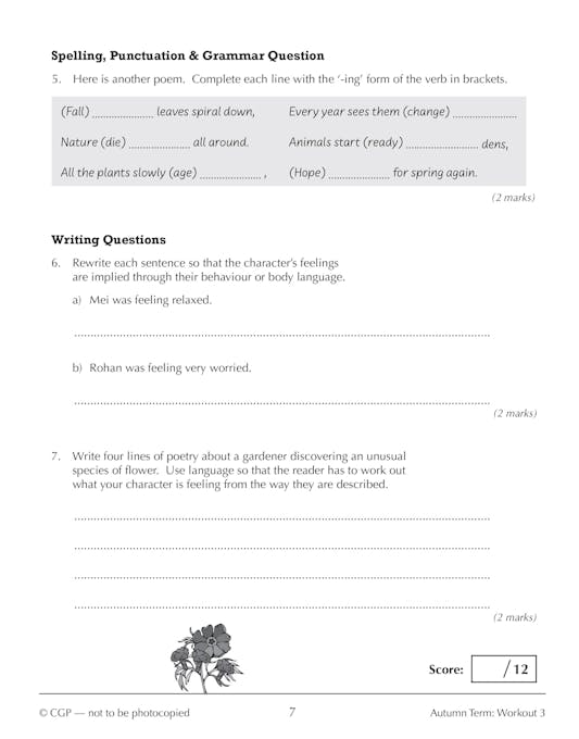 Sample of Year 9 English Study & Workbook Pack (Ages 13-14) ()