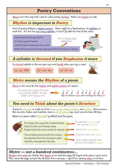 Sample of Year 9 English Study & Workbook Pack (Ages 13-14) ()